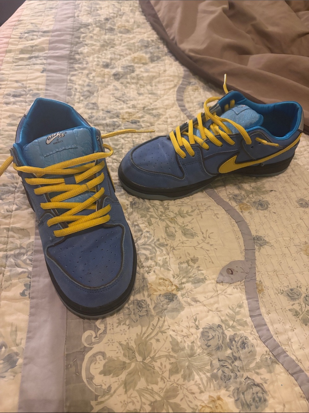 Nike SB Bubbles Dunks